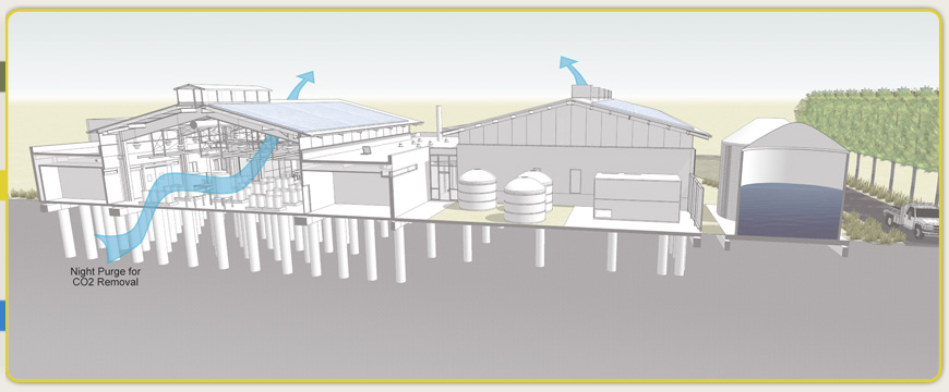 CO2 energy at greenrmi